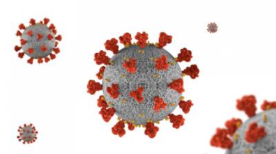 COVID-19 Antibody… image