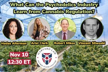 What Can the Psychedelics Industry Learn from Cannabis Regulation? image