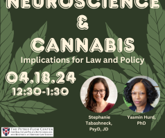 Neuroscience and Cannabis image