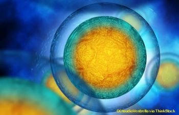 REPORT: Ethical Issues Related to the Creation of Synthetic Human Embryos image