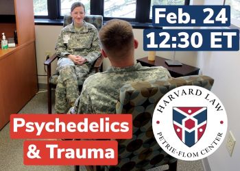 Psychedelics and Trauma image