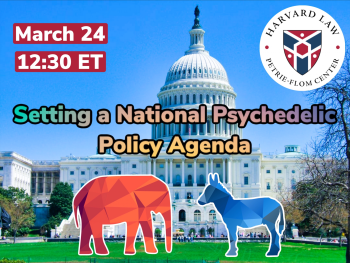 Setting a National Psychedelic Policy Agenda image