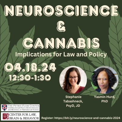 Neuroscience and Cannabis image