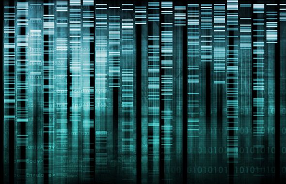 graphic of DNA fingerprinting