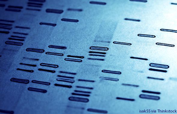 close up of DNA fingerprints