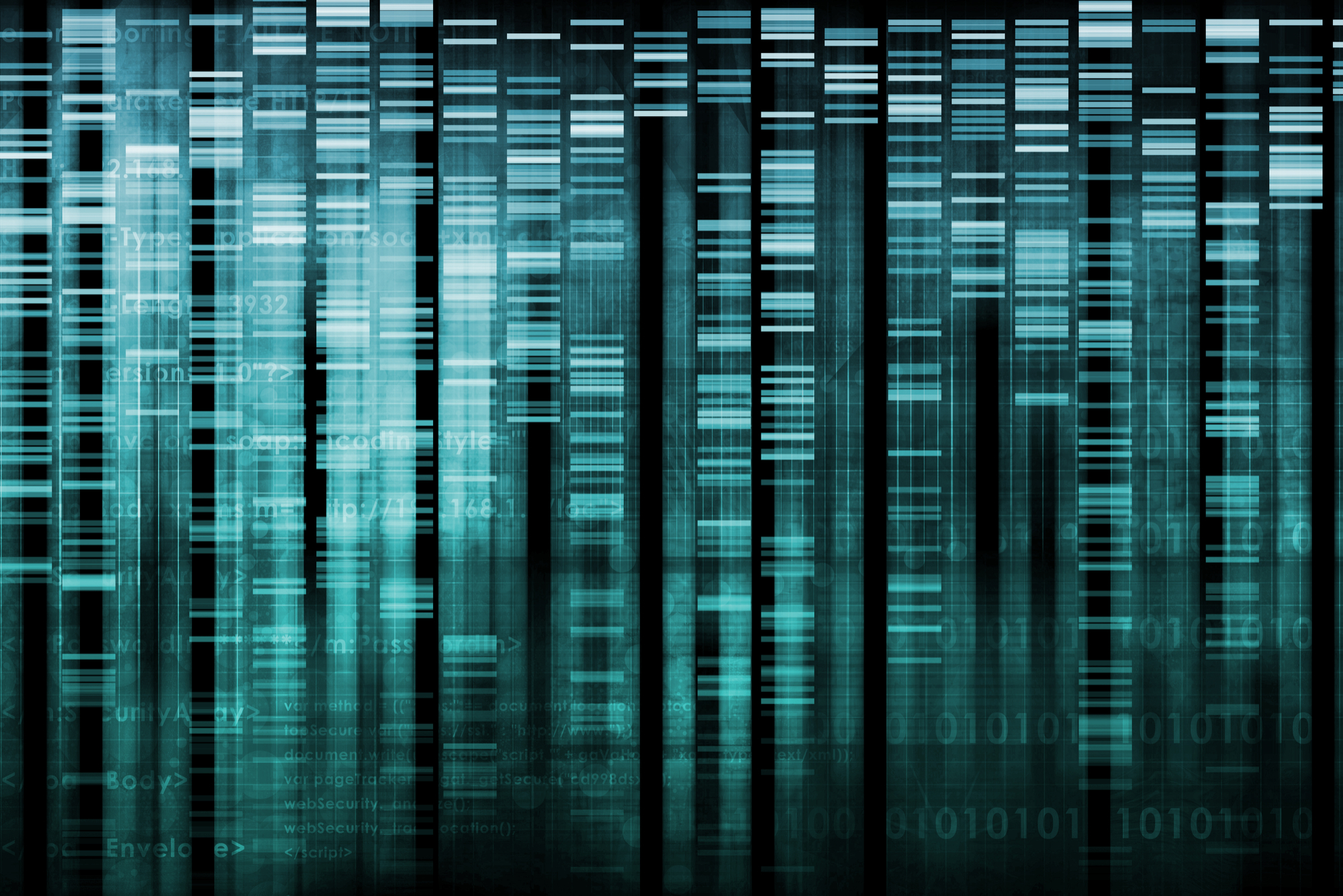 Graphical image of a genetic screen merging with algorithmic code