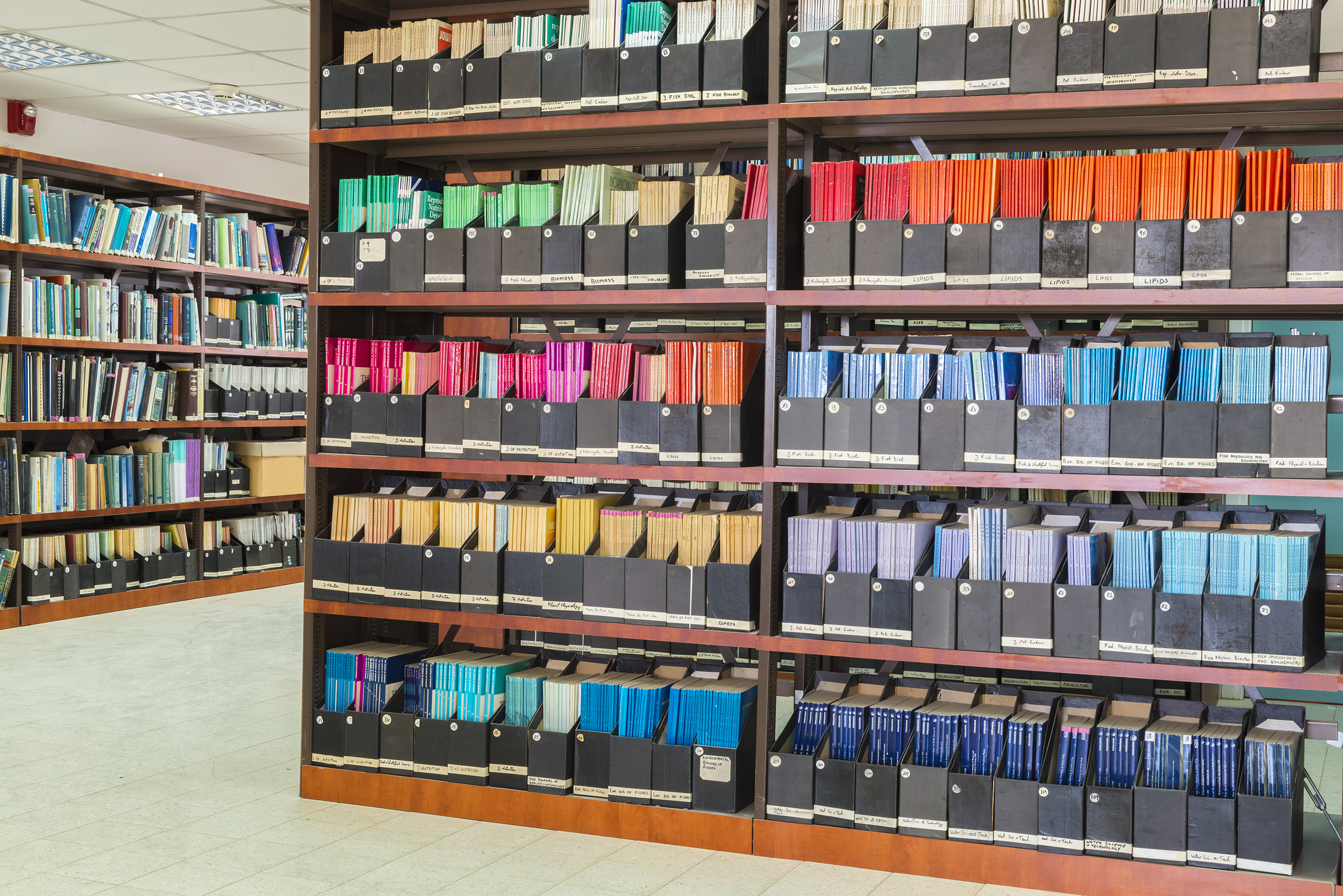 Photograph of colorful academic journals on a library shelf