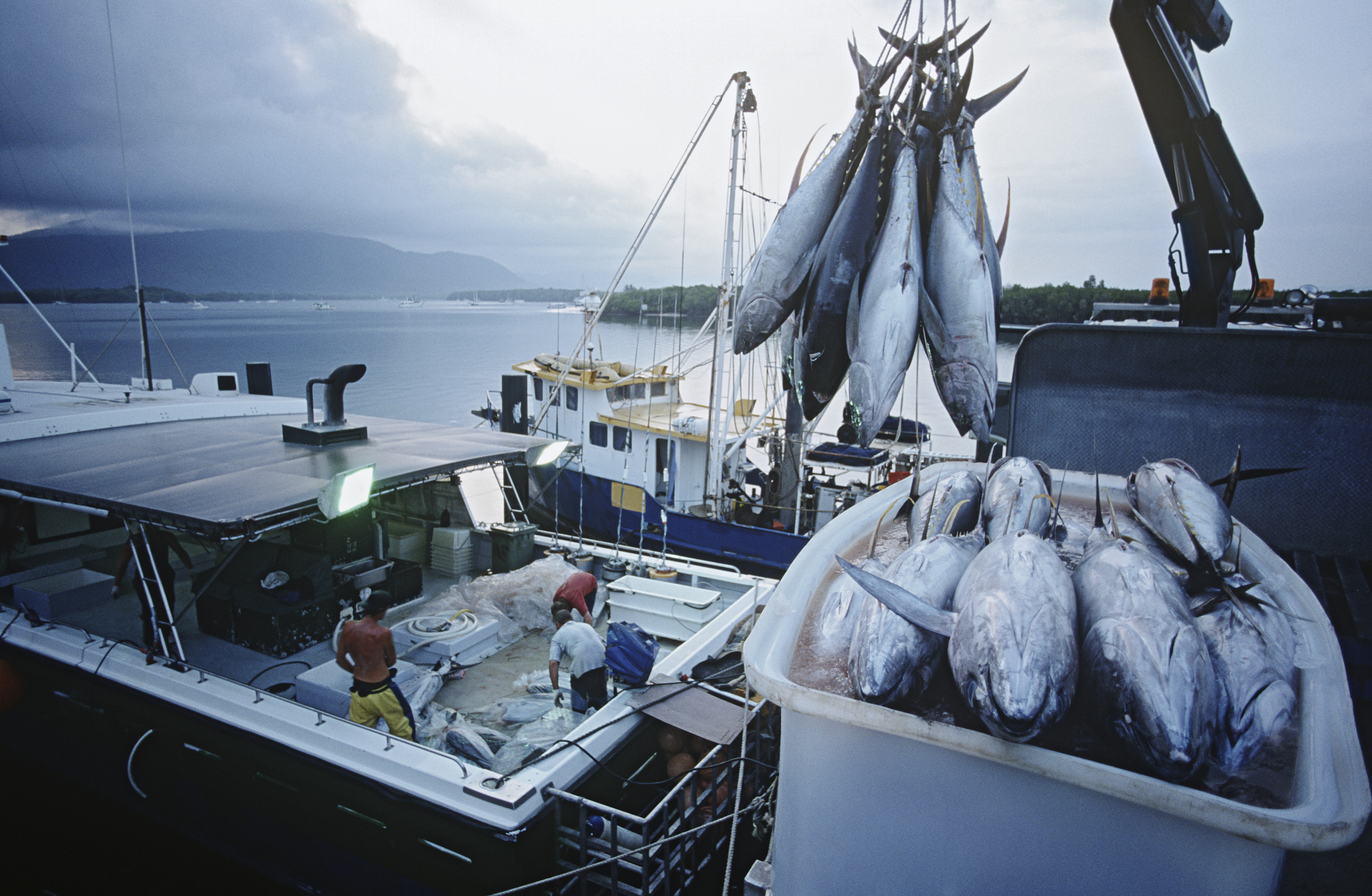 Photograph of commercial fishing vessels