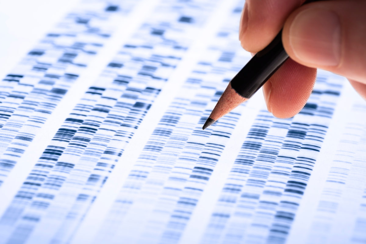 Scientist analyzes DNA gel used in genetics, forensics, drug discovery, biology and medicine