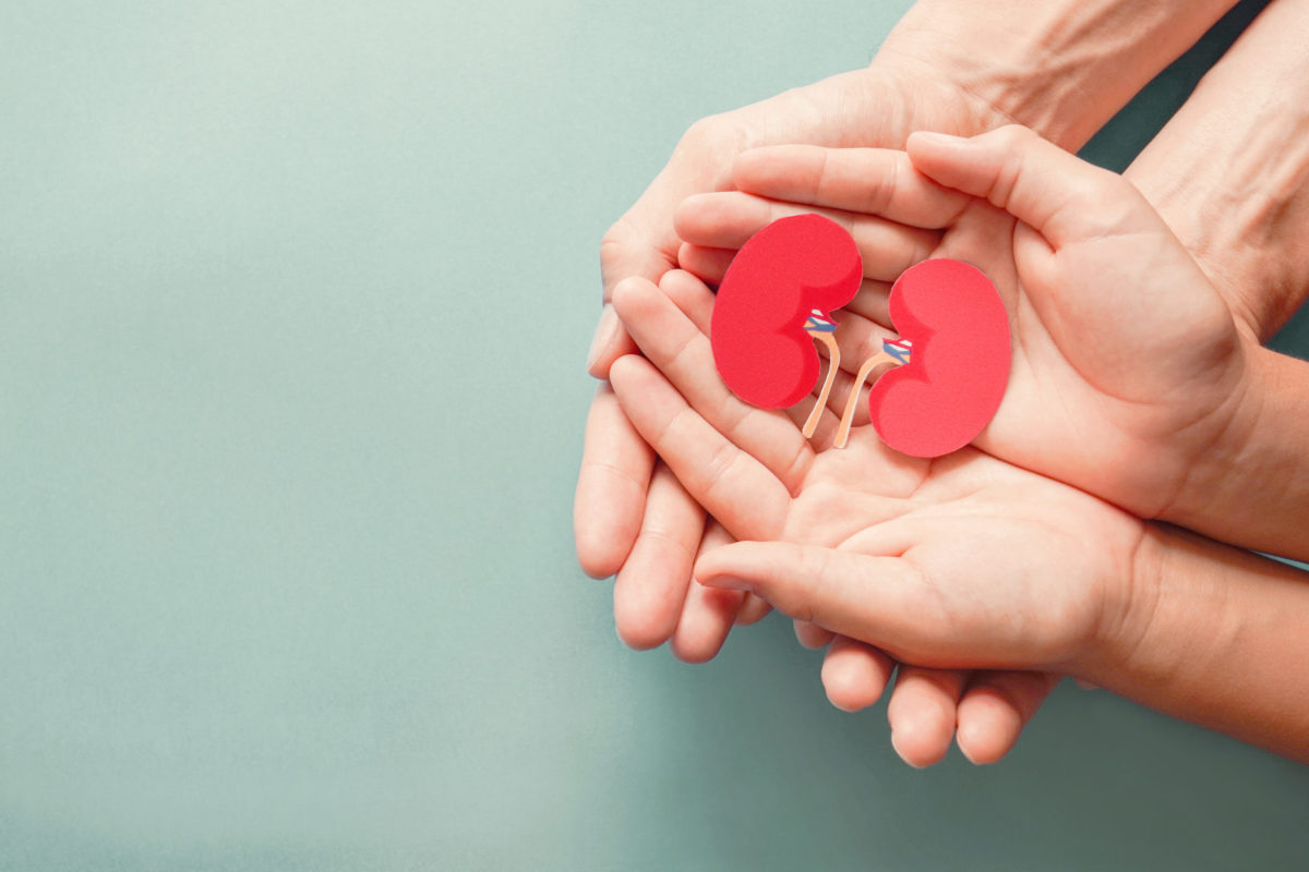 Adult and child holding kidney shaped paper on textured blue background.