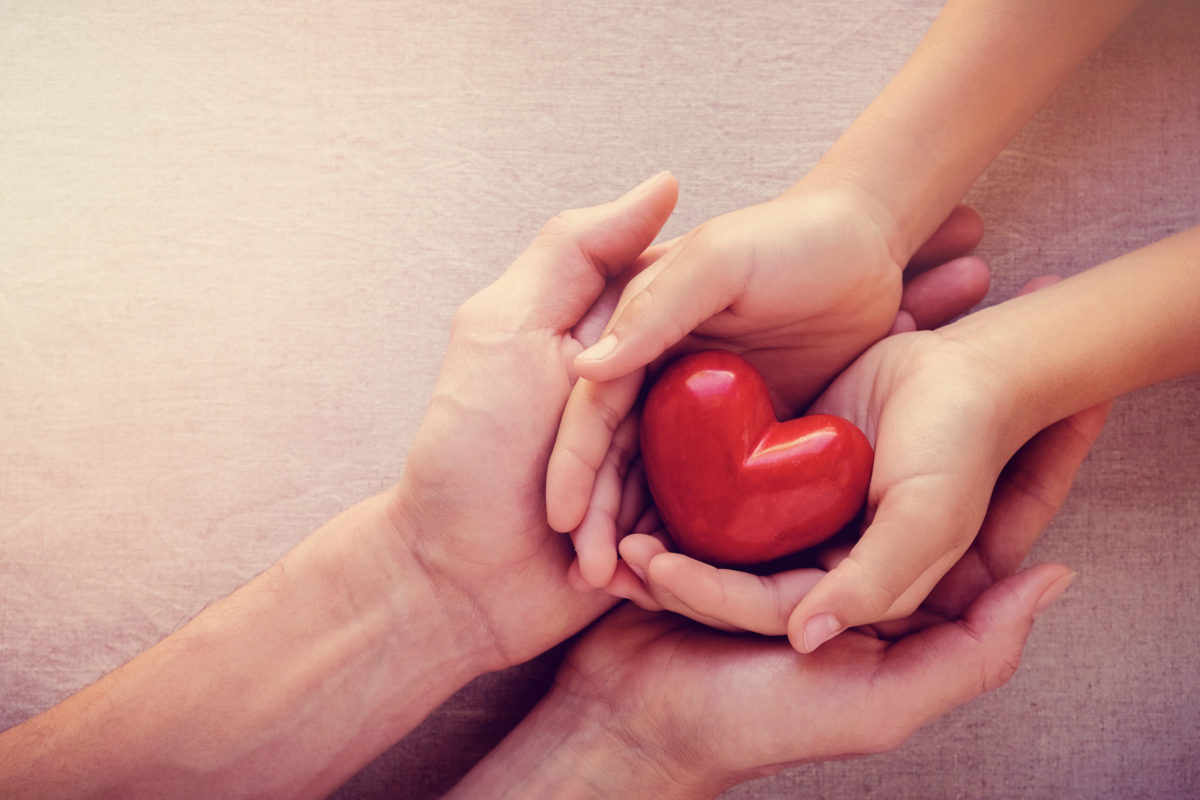 adult and child hands holding red heart, organ donation concept image.