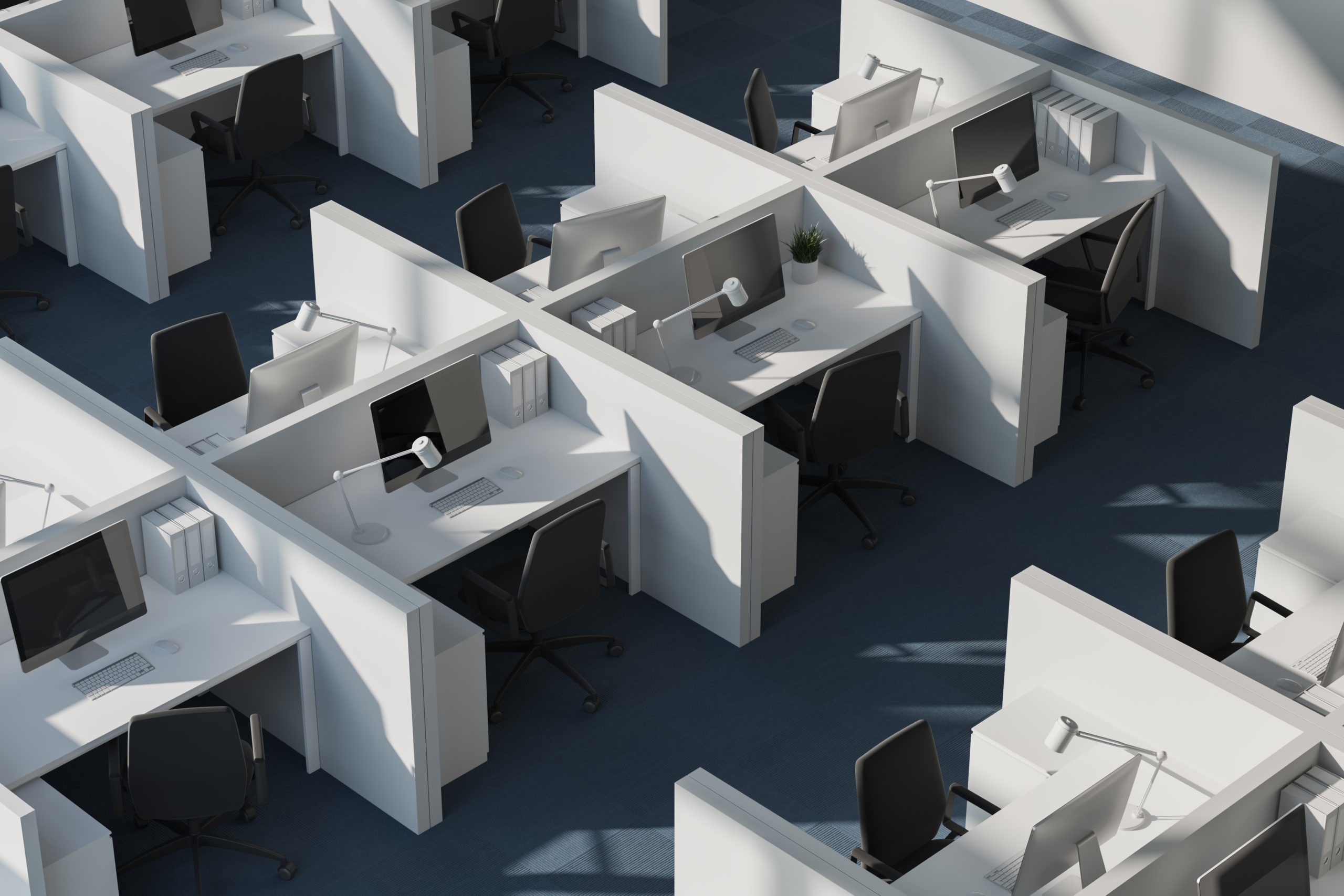 Top view of white cubicles in modern office with white walls and carpeted floor. 3d rendering.