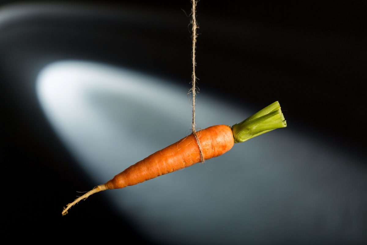 carrot dangling on a string.