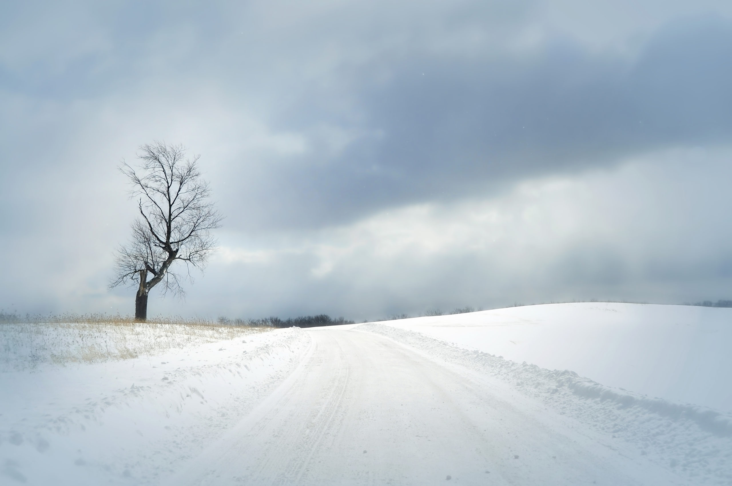 Desolate winter scene.