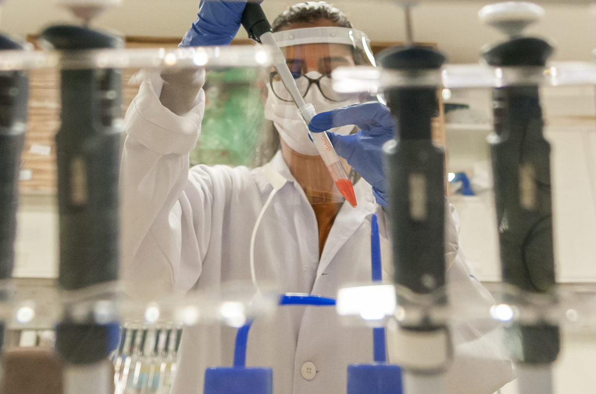 Rio de Janeiro, Brazil - JUNE 15, 2020. Scientist researching the relationship between the Covid-19 virus and the nervous system in the midst of a pandemic.