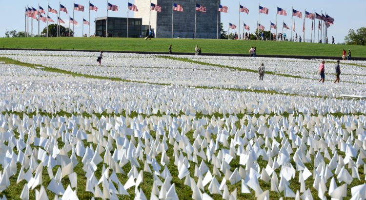 Washington DC 09 20 2021. More than 600,000 white flags honor lives lost to COVID, on the National Mall. The art installation " In America: Remember" was created by Suzanne Brennan Firstenberg.