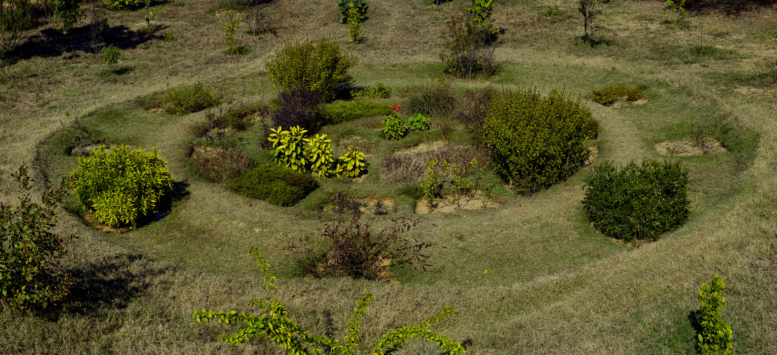 Tilpath Valley Biodiversity Park spreads over an area of 69.56 ha on the Southern Ridge that is contiguous with Aravalli ranges of Haryana, in south Delhi, New Delhi India.