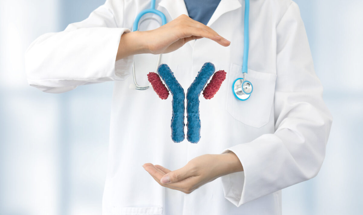 Torso of doctor in white coat with hands displaying in between them a rendering of an antibody.