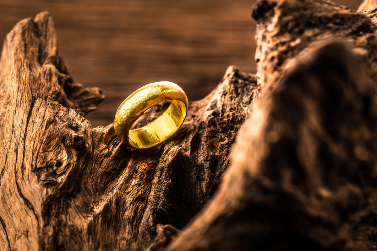 golden ring on a log.